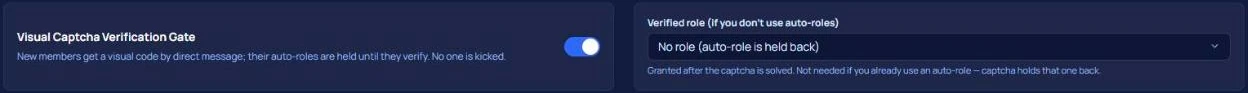 VeyroBot पैनल में इमेज कैप्चा सत्यापन और सत्यापन के बाद दी जाने वाली भूमिका