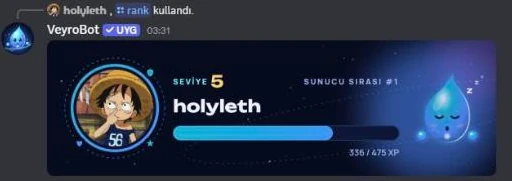 /rank output in Discord: VeyroBot rank card with level 5, server rank 1 and XP progress