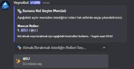 VeyroBot role selection menu in Discord with the dropdown open, showing the DJ role as an option
